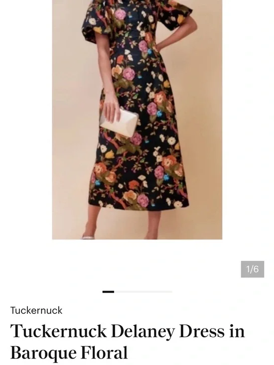 Tuckernuck delaney dress in baroque floral - Picture 3 of 15